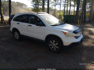 HONDA HONDA CR-V EX