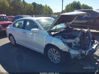 HONDA HONDA ACCORD EX-L V-6