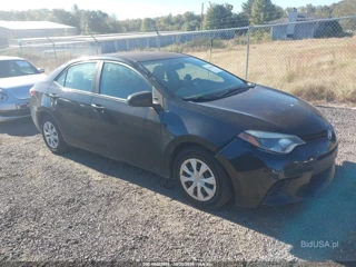 TOYOTA TOYOTA COROLLA L