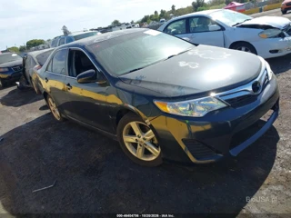 TOYOTA TOYOTA CAMRY SE