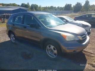 HONDA HONDA CR-V LX