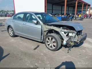 HONDA HONDA ACCORD 3.5 EX-L