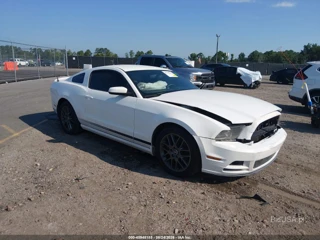 FORD FORD MUSTANG V6 PREMIUM