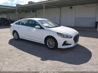 HYUNDAI HYUNDAI SONATA ECO