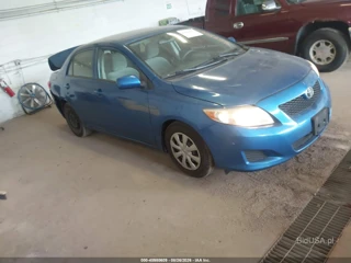 TOYOTA TOYOTA COROLLA LE
