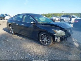 NISSAN NISSAN MAXIMA 3.5 SV