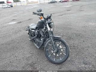 HARLEY-DAVIDSON HARLEY-DAVIDSON XL883 N
