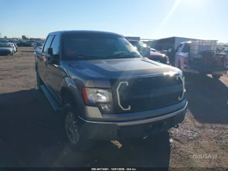 FORD FORD F-150 FX4/HARLEY-DAVIDSON/KING RANCH/LARIAT/PLATINUM/XL/XLT