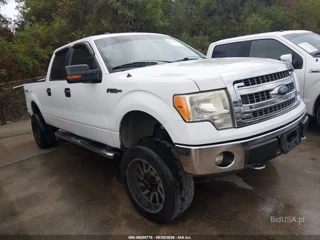 FORD FORD F-150 XLT