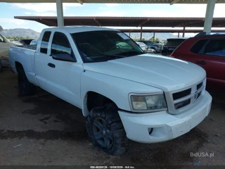DODGE DODGE DAKOTA BIGHORN/LONESTAR