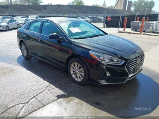 HYUNDAI HYUNDAI SONATA ECO