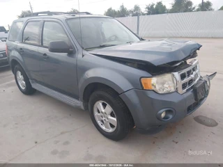 FORD FORD ESCAPE XLT