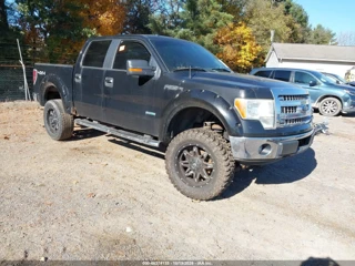 FORD FORD F-150 XLT