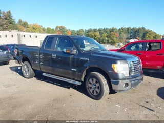 FORD FORD F-150 XLT