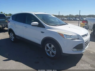 FORD FORD ESCAPE SE