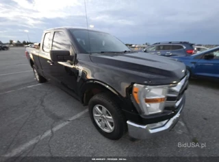 FORD FORD F-150 XLT