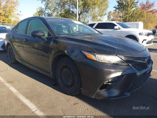 TOYOTA TOYOTA CAMRY SE