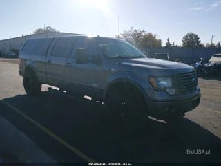 FORD FORD F-150 FX4