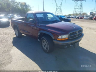 DODGE DODGE DAKOTA