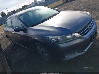 HONDA HONDA ACCORD LX