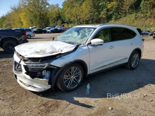 ACURA MDX ADVANCE