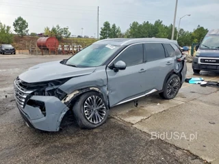 NISSAN ROGUE PLATINUM