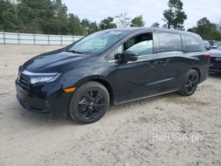 HONDA ODYSSEY SPORT