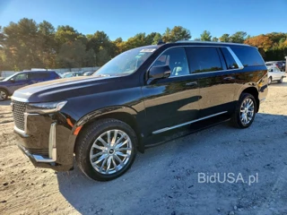 CADILLAC ESCALADE ESV LUXURY