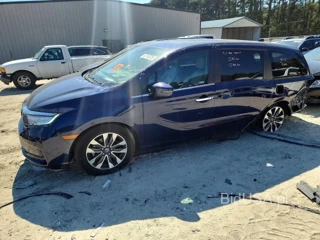HONDA ODYSSEY EXL