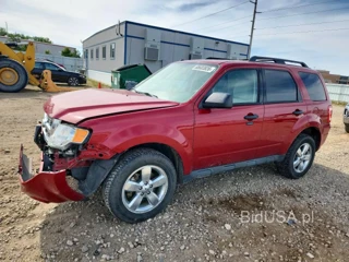 FORD ESCAPE XLT