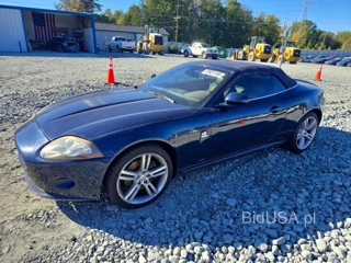 JAGUAR XK