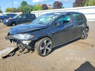 VOLKSWAGEN GTI S/SE