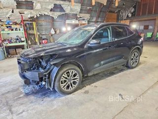 FORD ESCAPE SEL