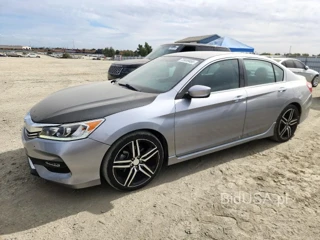 HONDA ACCORD SPORT