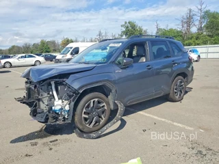 SUBARU FORESTER LIMITED