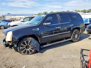 CADILLAC ESCALADE LUXURY