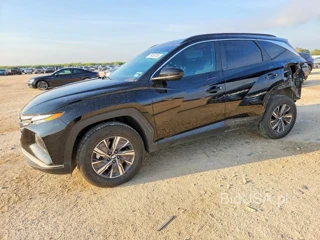 HYUNDAI TUCSON BLUE