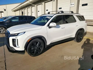 HYUNDAI PALISADE XRT