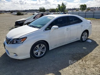LEXUS HS 250H