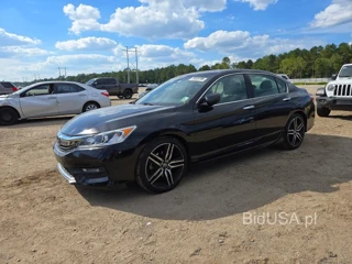 HONDA ACCORD SPORT SPECIAL EDITION
