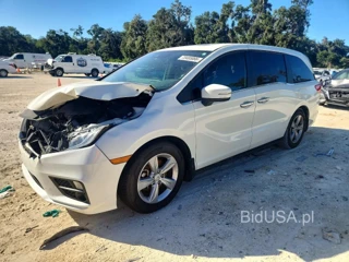 HONDA ODYSSEY EXL
