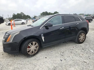 CADILLAC SRX LUXURY COLLECTION
