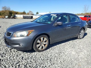 HONDA ACCORD EXL