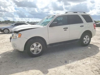 FORD ESCAPE XLT