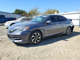 HONDA ACCORD EXL