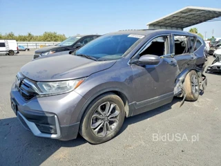 HONDA CR-V EX