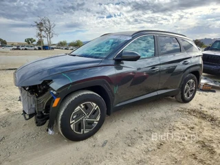HYUNDAI TUCSON BLUE