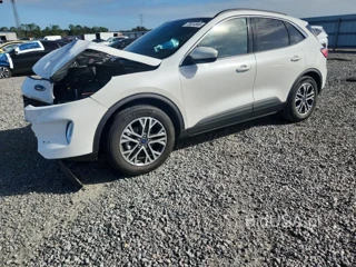 FORD ESCAPE SEL