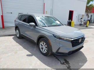 HONDA HONDA CR-V LX 2WD