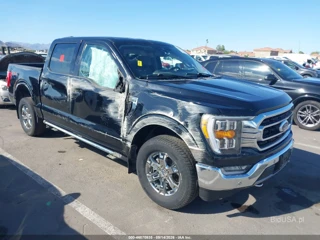 FORD FORD F-150 XLT